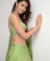 Dubai Escort Service +971522050466